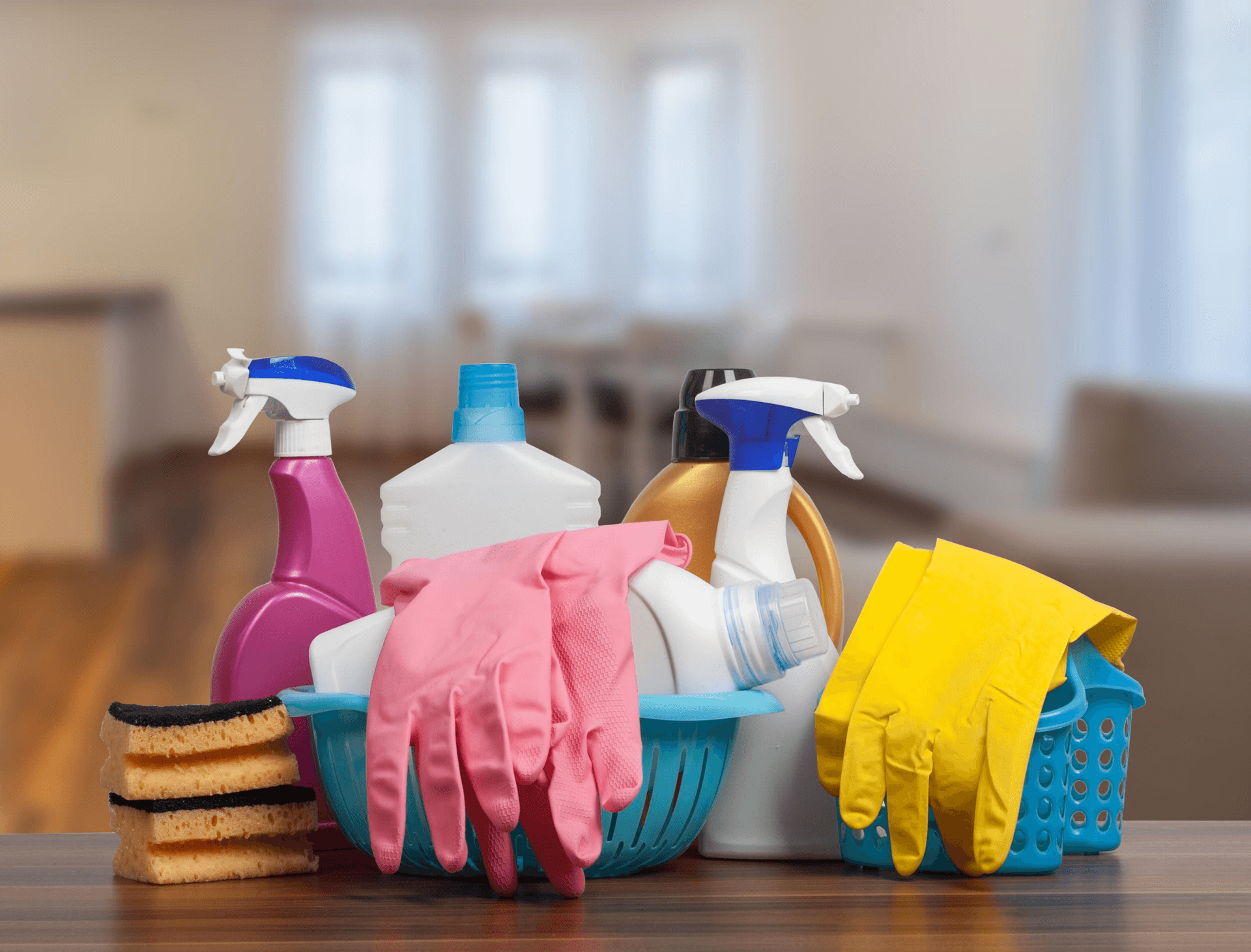 Household & Auto Supplies